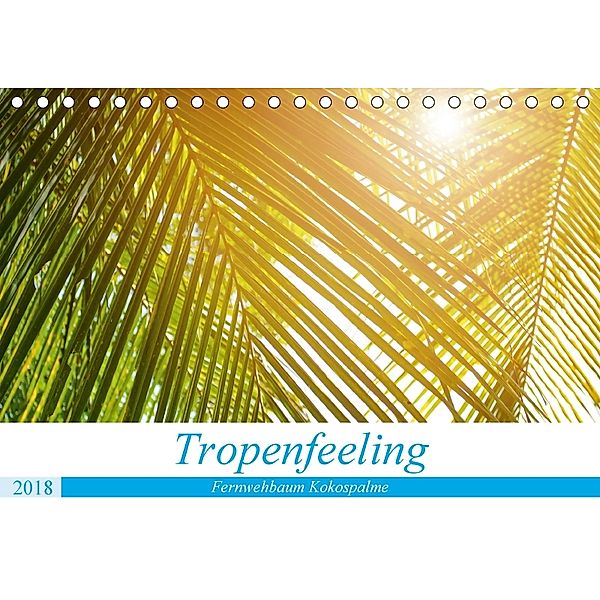 Tropenfeeling - Fernwehbaum Kokospalme (Tischkalender 2018 DIN A5 quer), Kerstin Waurick