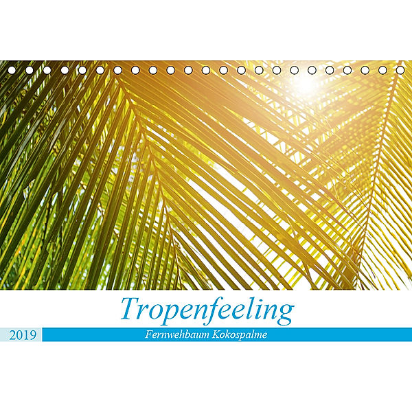 Tropenfeeling - Fernwehbaum Kokospalme (Tischkalender 2019 DIN A5 quer), Kerstin Waurick