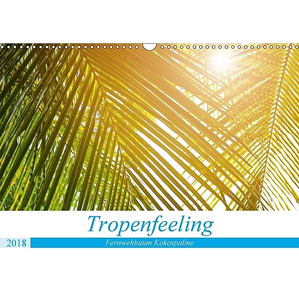 Tropenfeeling - Fernwehbaum Kokospalme (Wandkalender 2018 DIN A3 quer), Kerstin Waurick