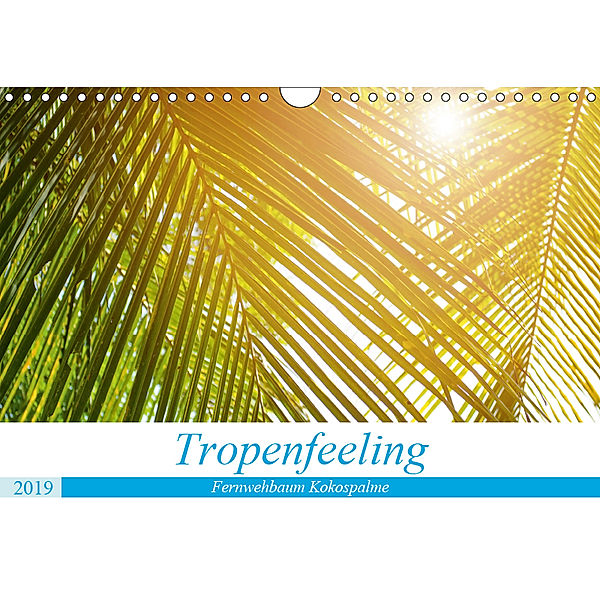 Tropenfeeling - Fernwehbaum Kokospalme (Wandkalender 2019 DIN A4 quer), Kerstin Waurick