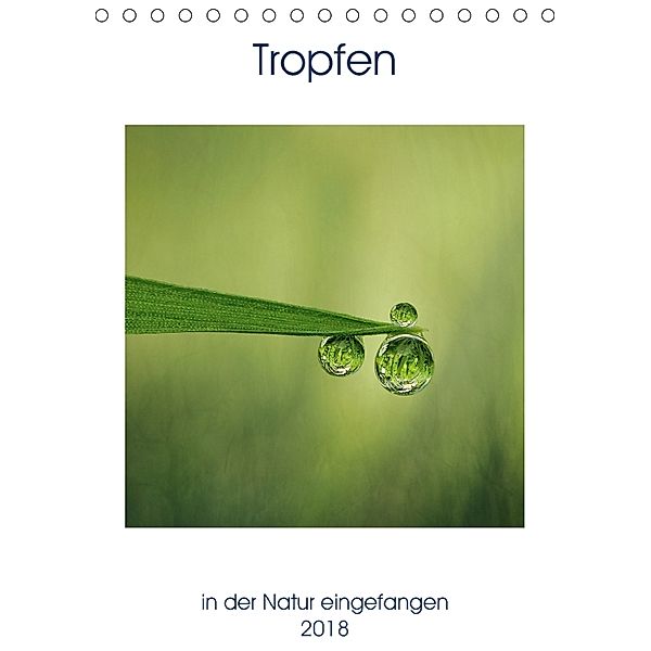 Tropfen in der Natur eingefangen (Tischkalender 2018 DIN A5 hoch), Rosina Schneider