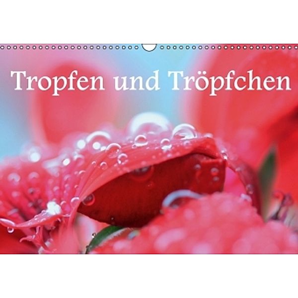 Tropfen und TröpfchenAT-Version (Wandkalender 2016 DIN A3 quer), GUGIGEI