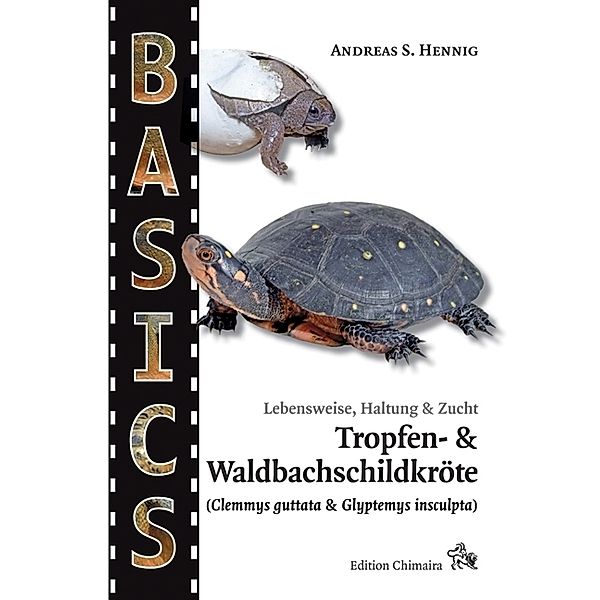 Tropfen- und Waldbachschildkröte, Andreas S. Hennig