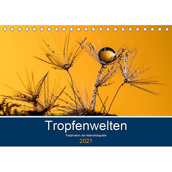 Tropfenwelten; Faszination der Makrofotografie (Tischkalender 2021 DIN A5 quer), Doris Jachalke