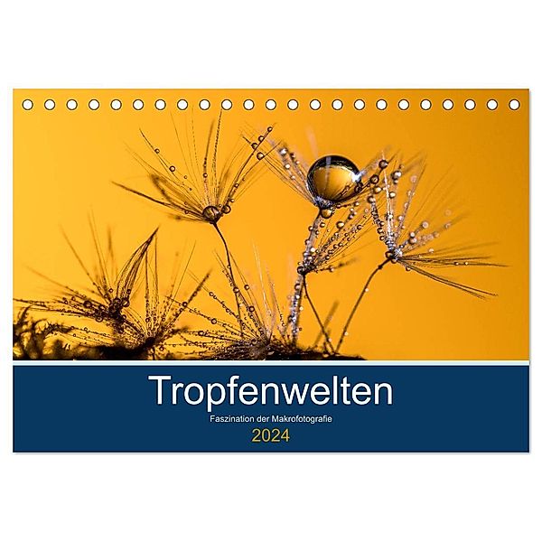 Tropfenwelten; Faszination der Makrofotografie (Tischkalender 2024 DIN A5 quer), CALVENDO Monatskalender, Doris Jachalke