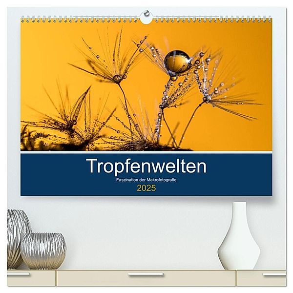 Tropfenwelten; Faszination der Makrofotografie (hochwertiger Premium Wandkalender 2025 DIN A2 quer), Kunstdruck in Hochglanz, Calvendo, Doris Jachalke