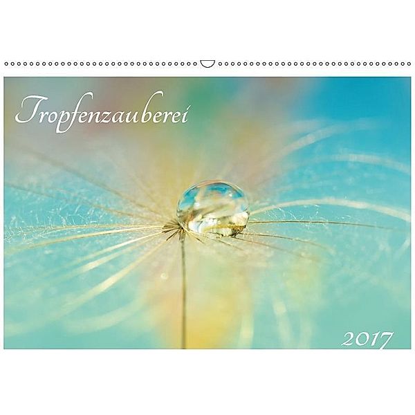 Tropfenzauberei 2017 (Wandkalender 2017 DIN A2 quer), Anna Kropf