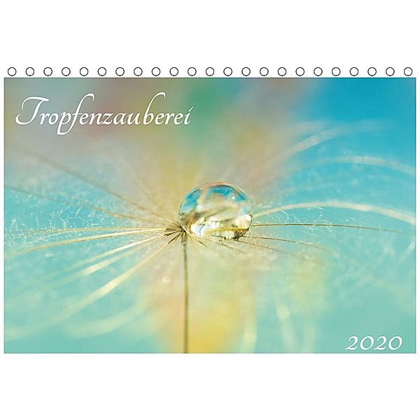 Tropfenzauberei 2020 (Tischkalender 2020 DIN A5 quer), Anna Kropf