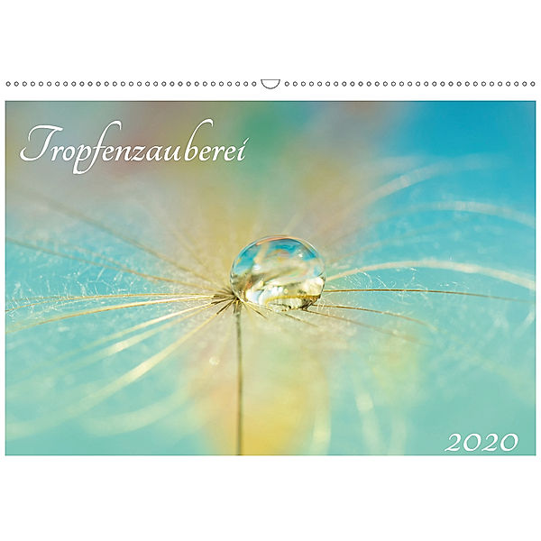 Tropfenzauberei 2020 (Wandkalender 2020 DIN A2 quer), Anna Kropf