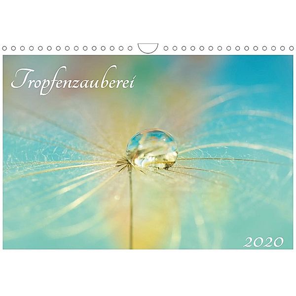 Tropfenzauberei 2020 (Wandkalender 2020 DIN A4 quer), Anna Kropf