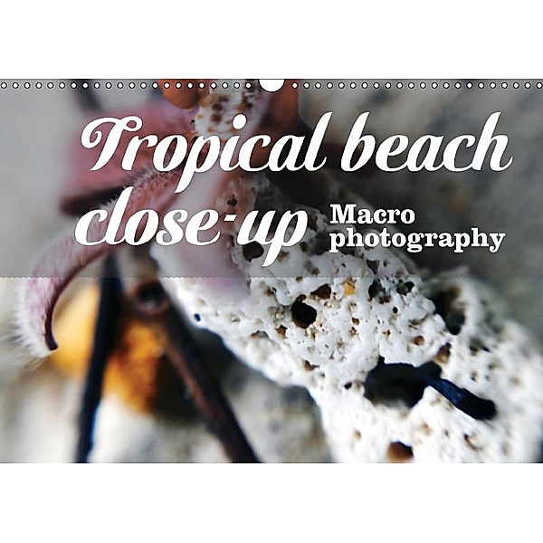 Tropical beach close-up Macro photography (Wall Calendar 2017 DIN A3 Landscape), Mario Stöckinger