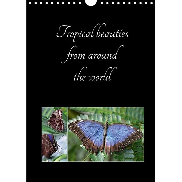 Tropical beauties from around the world (Wall Calendar 2018 DIN A4 Portrait), Diana Schroeder
