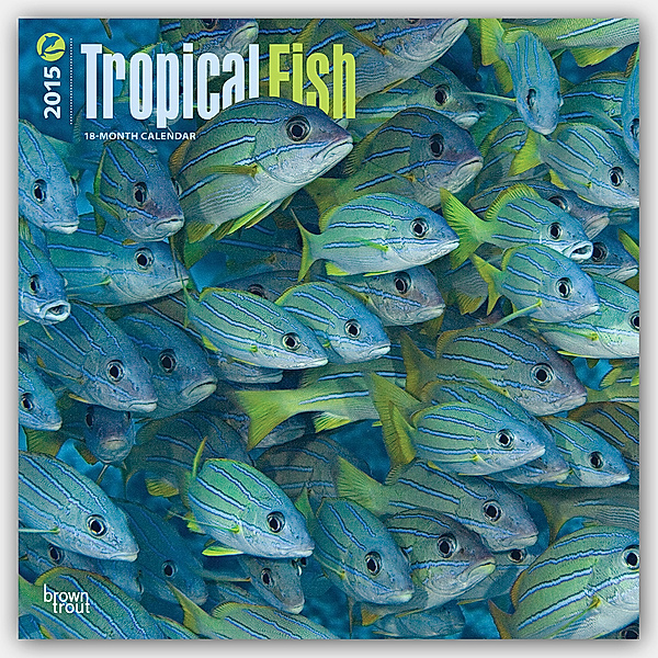 Tropical Fish, Broschürenkalender 2015