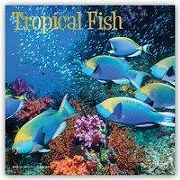 Tropical Fish - Tropische Fische 2019 - 18-Monatskalender