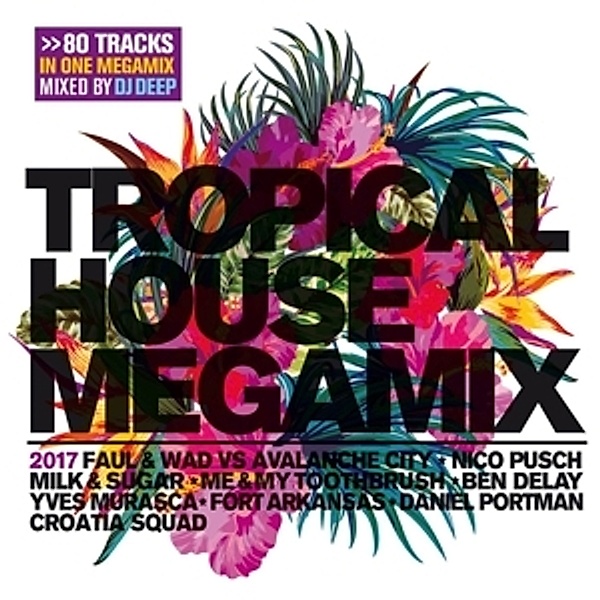 Tropical House Megamix 2017, Diverse Interpreten