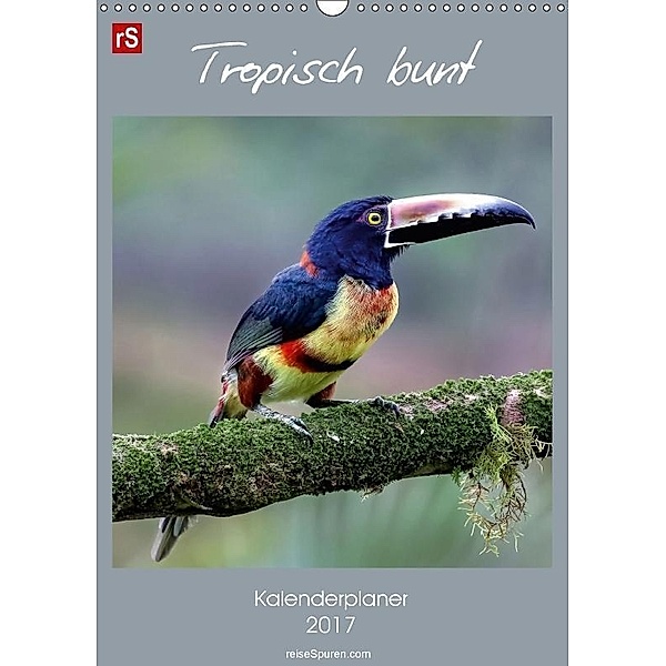 Tropisch bunt (Wandkalender 2017 DIN A3 hoch), Uwe Bergwitz