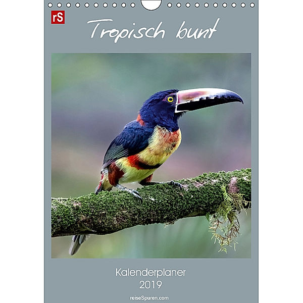 Tropisch bunt (Wandkalender 2019 DIN A4 hoch), Uwe Bergwitz