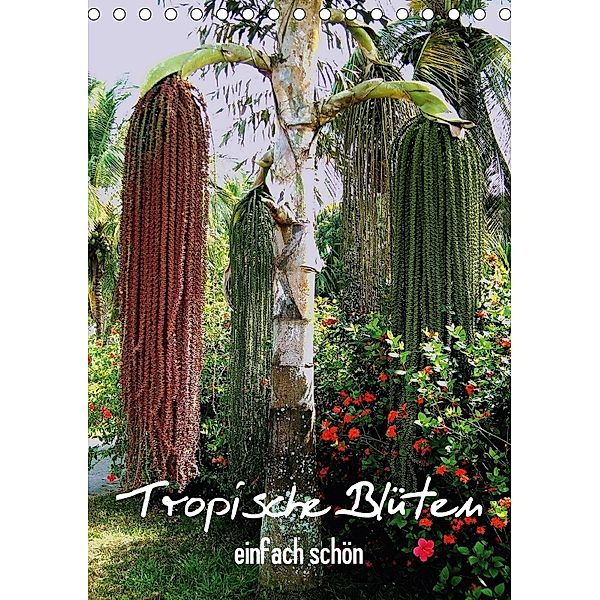 Tropische Blüten - einfach schön (Tischkalender 2018 DIN A5 hoch), Rudolf Blank