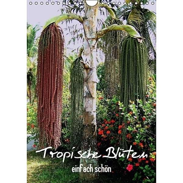 Tropische Blüten - einfach schön (Wandkalender 2015 DIN A4 hoch), Rudolf Blank