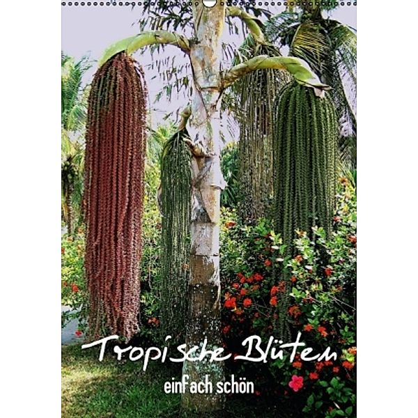 Tropische Blüten - einfach schön (Wandkalender 2016 DIN A2 hoch), Rudolf Blank