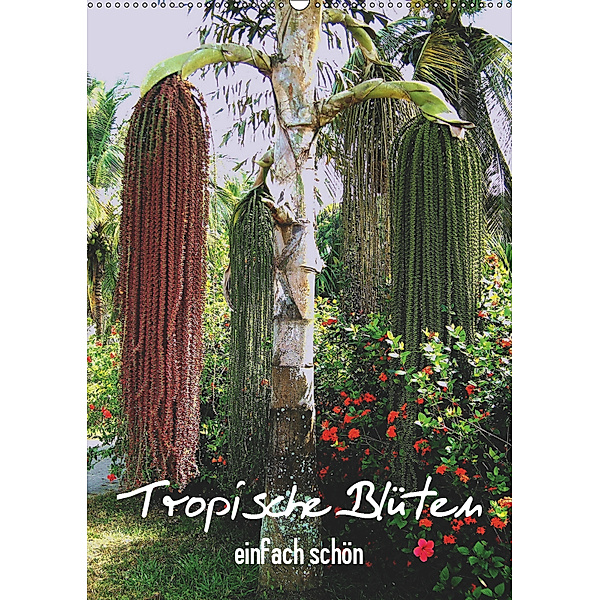 Tropische Blüten - einfach schön (Wandkalender 2019 DIN A2 hoch), Rudolf Blank