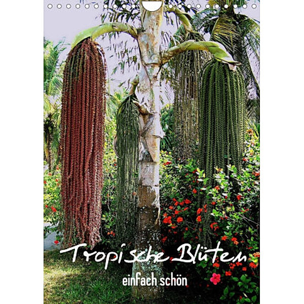 Tropische Blüten - einfach schön (Wandkalender 2022 DIN A4 hoch), Dr. Rudolf Blank