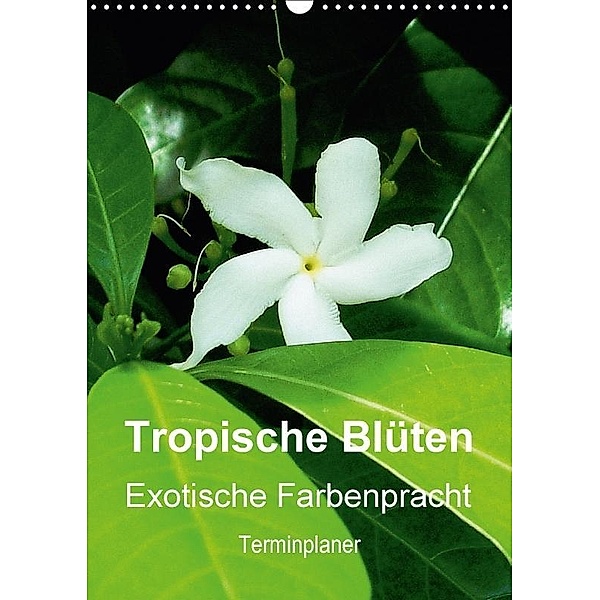 Tropische Blüten - Exotische Farbenpracht / Planer (Wandkalender 2017 DIN A3 hoch), Rudolf Blank