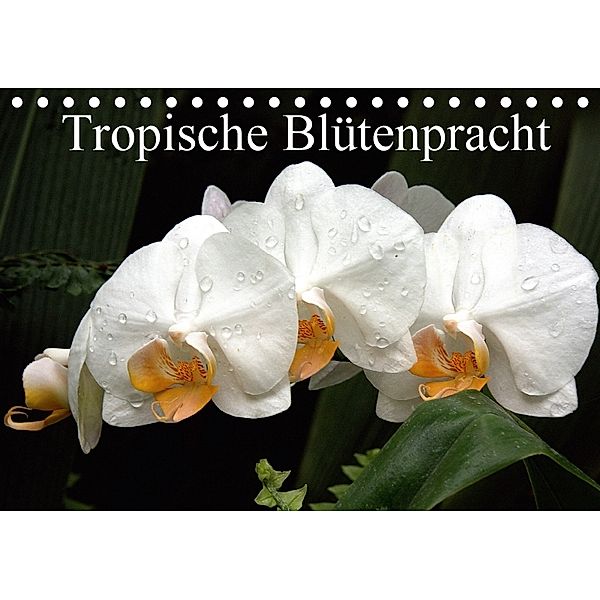 Tropische Blütenpracht (Tischkalender 2018 DIN A5 quer), Arno Klatt