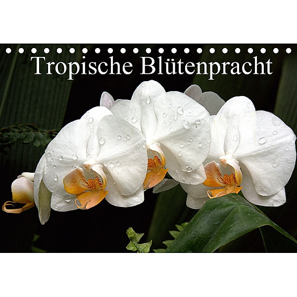 Tropische Blütenpracht (Tischkalender 2019 DIN A5 quer), Arno Klatt