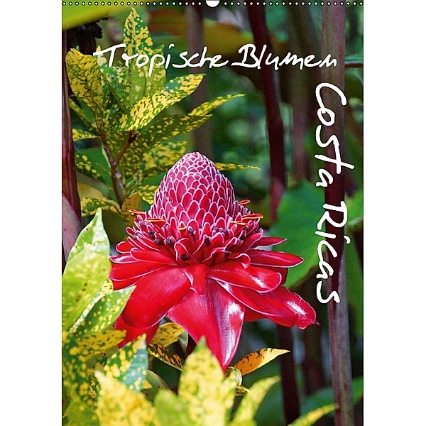 Tropische Blumen Costa Ricas (Wandkalender 2018 DIN A2 hoch), M.Polok