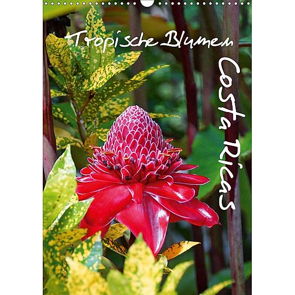 Tropische Blumen Costa Ricas (Wandkalender 2020 DIN A3 hoch)