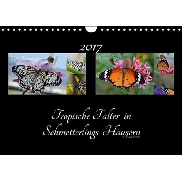 Tropische Falter in Schmetterlings-Häusern (Wandkalender 2017 DIN A4 quer), Diana Schröder