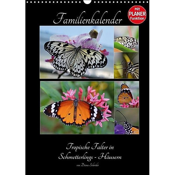 Tropische Falter in Schmetterlings-Häusern (Wandkalender 2017 DIN A3 hoch), Diana Schröder