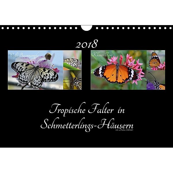 Tropische Falter in Schmetterlings-Häusern (Wandkalender 2018 DIN A4 quer), Diana Schröder