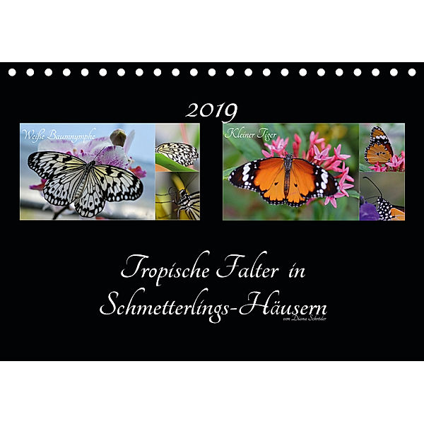 Tropische Falter in Schmetterlings-Häusern (Tischkalender 2019 DIN A5 quer), Diana Schröder