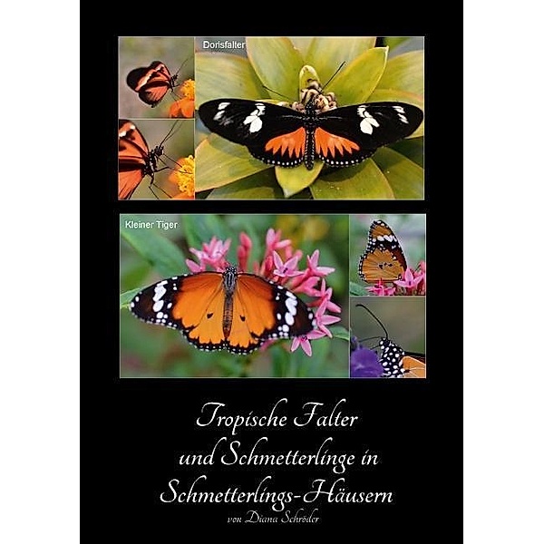Tropische Falter und Schmetterlinge in Schmetterlings-Häusern (Tischaufsteller DIN A5 hoch), Diana Schröder