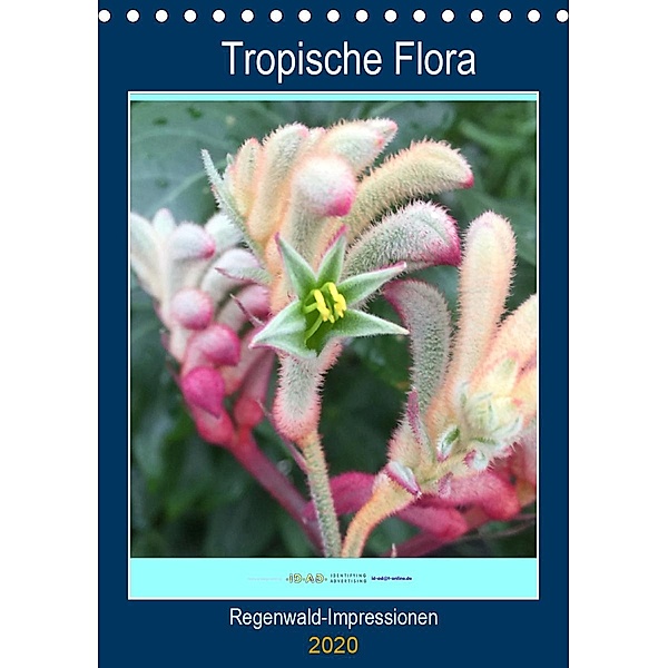 Tropische Flora (Tischkalender 2020 DIN A5 hoch), Gabi Zapf