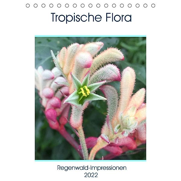 Tropische Flora (Tischkalender 2022 DIN A5 hoch), Gabi Zapf