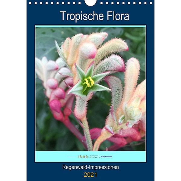 Tropische Flora (Wandkalender 2021 DIN A4 hoch), Gabi Zapf