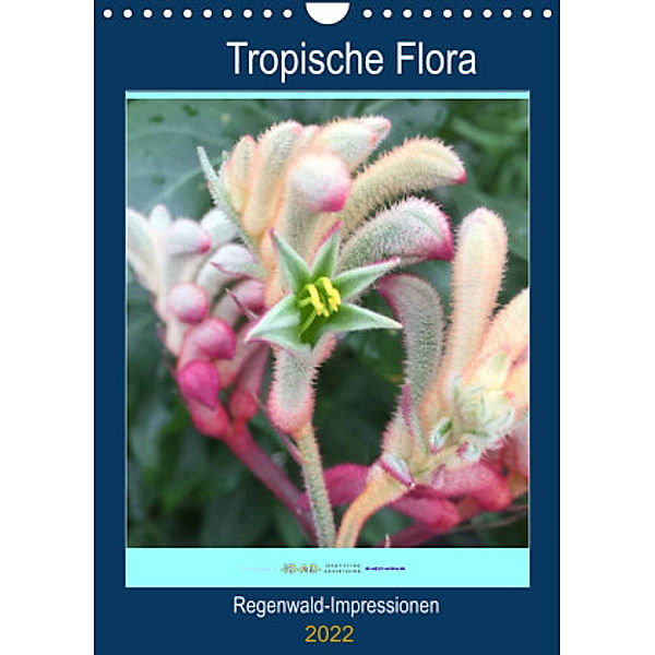 Tropische Flora (Wandkalender 2022 DIN A4 hoch), Gabi Zapf