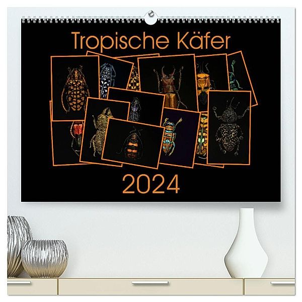 Tropische Käfer (hochwertiger Premium Wandkalender 2024 DIN A2 quer), Kunstdruck in Hochglanz, Burkhard Körner