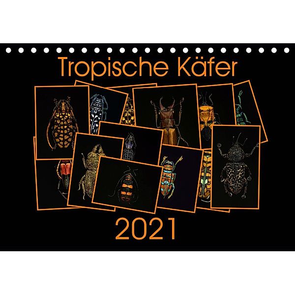 Tropische Käfer (Tischkalender 2021 DIN A5 quer), Burkhard Körner