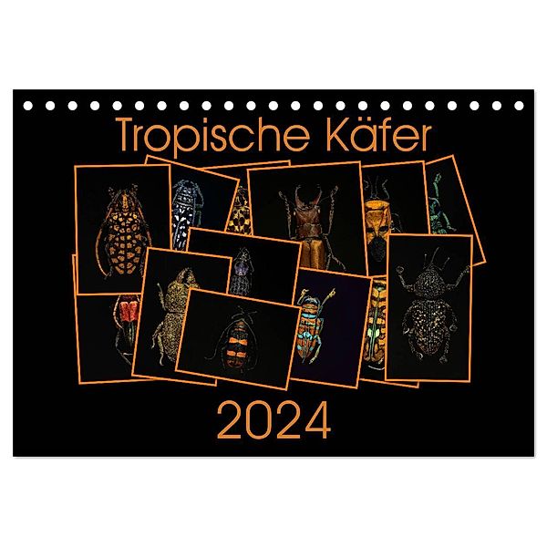 Tropische Käfer (Tischkalender 2024 DIN A5 quer), CALVENDO Monatskalender, Burkhard Körner