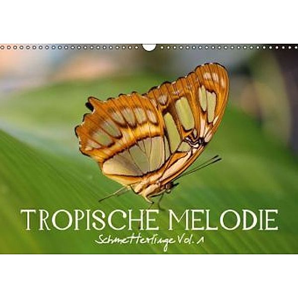 Tropische Melodie - Schmetterlinge Vol.1 (Wandkalender 2015 DIN A3 quer), Vronja Photon, Veronika Verenin