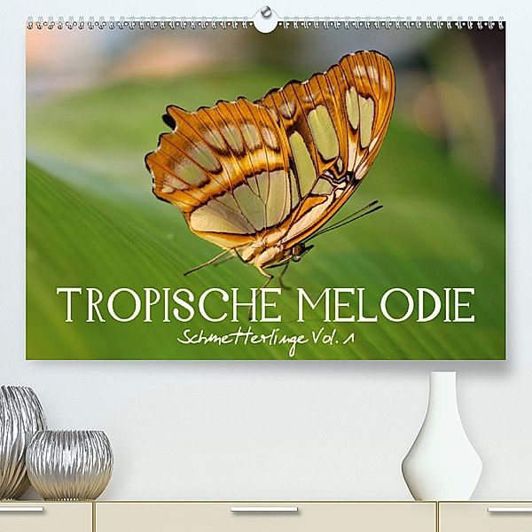 Tropische Melodie - Schmetterlinge Vol.1(Premium, hochwertiger DIN A2 Wandkalender 2020, Kunstdruck in Hochglanz), Veronika Verenin