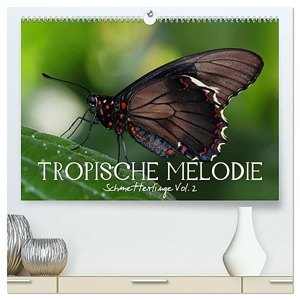 Tropische Melodie - Schmetterlinge Vol.2 (hochwertiger Premium Wandkalender 2025 DIN A2 quer), Kunstdruck in Hochglanz, Calvendo, Vronja Photon (Veronika Verenin)