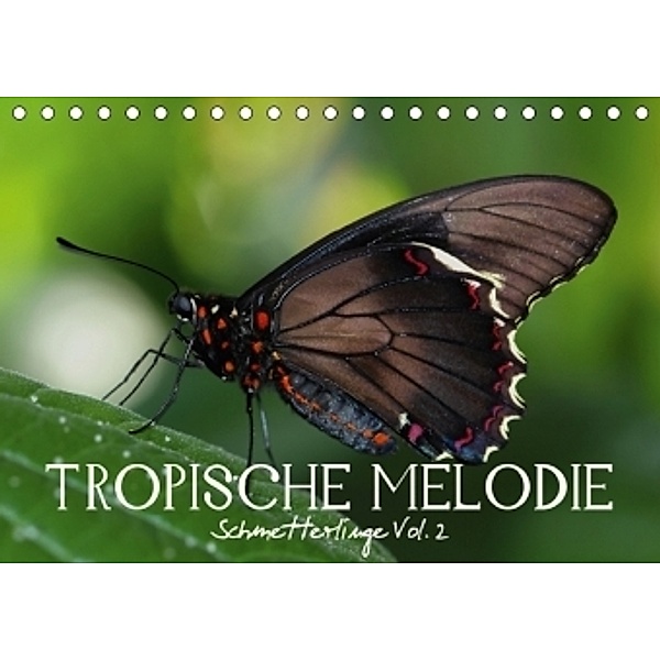 Tropische Melodie - Schmetterlinge Vol.2 (Tischkalender 2017 DIN A5 quer), Vronja Photon