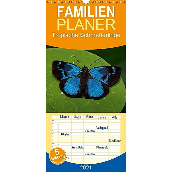 Tropische Schmetterlinge - Familienplaner hoch (Wandkalender 2021 , 21 cm x 45 cm, hoch), Stefan Dummermuth