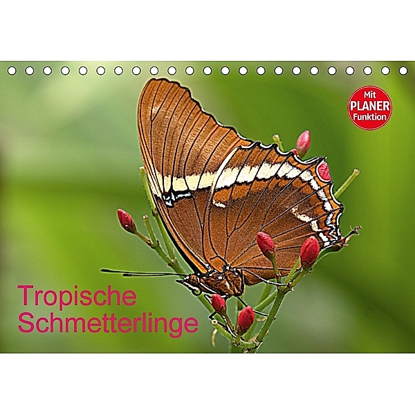 Tropische Schmetterlinge (Tischkalender 2018 DIN A5 quer), Arno Klatt