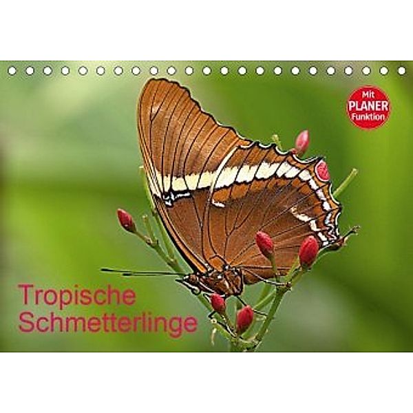 Tropische Schmetterlinge (Tischkalender 2020 DIN A5 quer), Arno Klatt